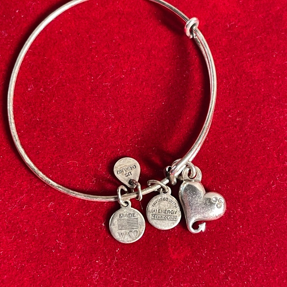Alex and Ani Love Joy Light Bracelet